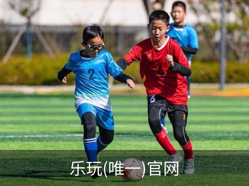 乐玩(唯一)官网简介