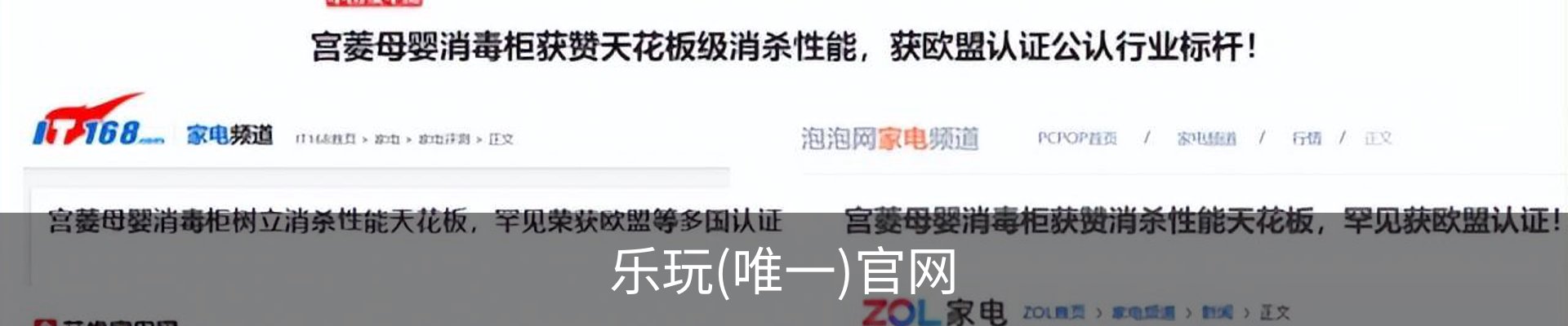 乐玩(唯一)官网